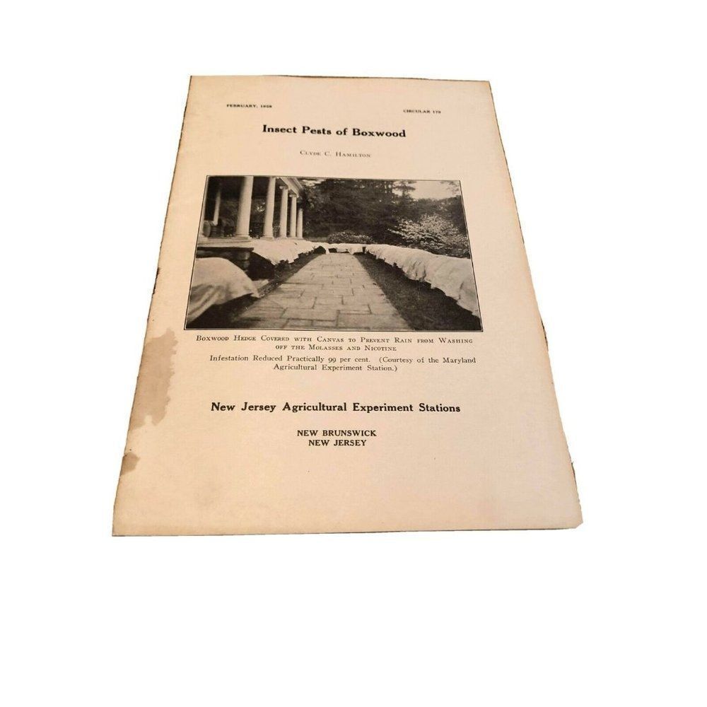 Vintage Extension Bulletin 1926 Pests Boxwood Care Cultivation Brochure Hamilton